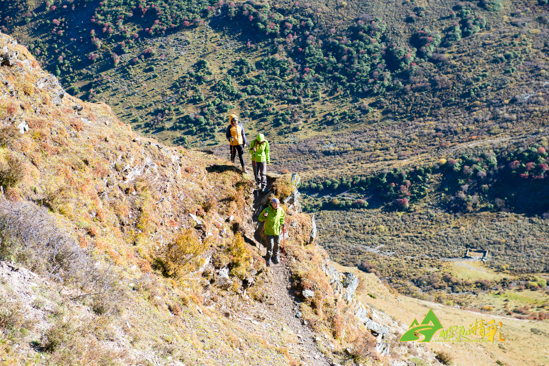 克斯的光环 克斯的光环